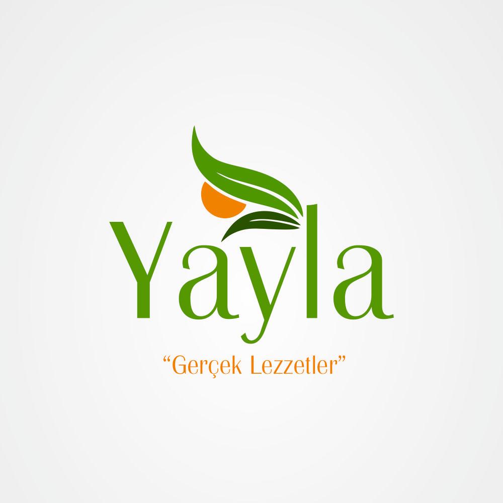 logo çalışması