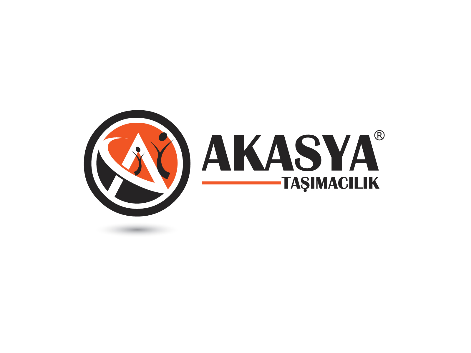 Tasarım #101