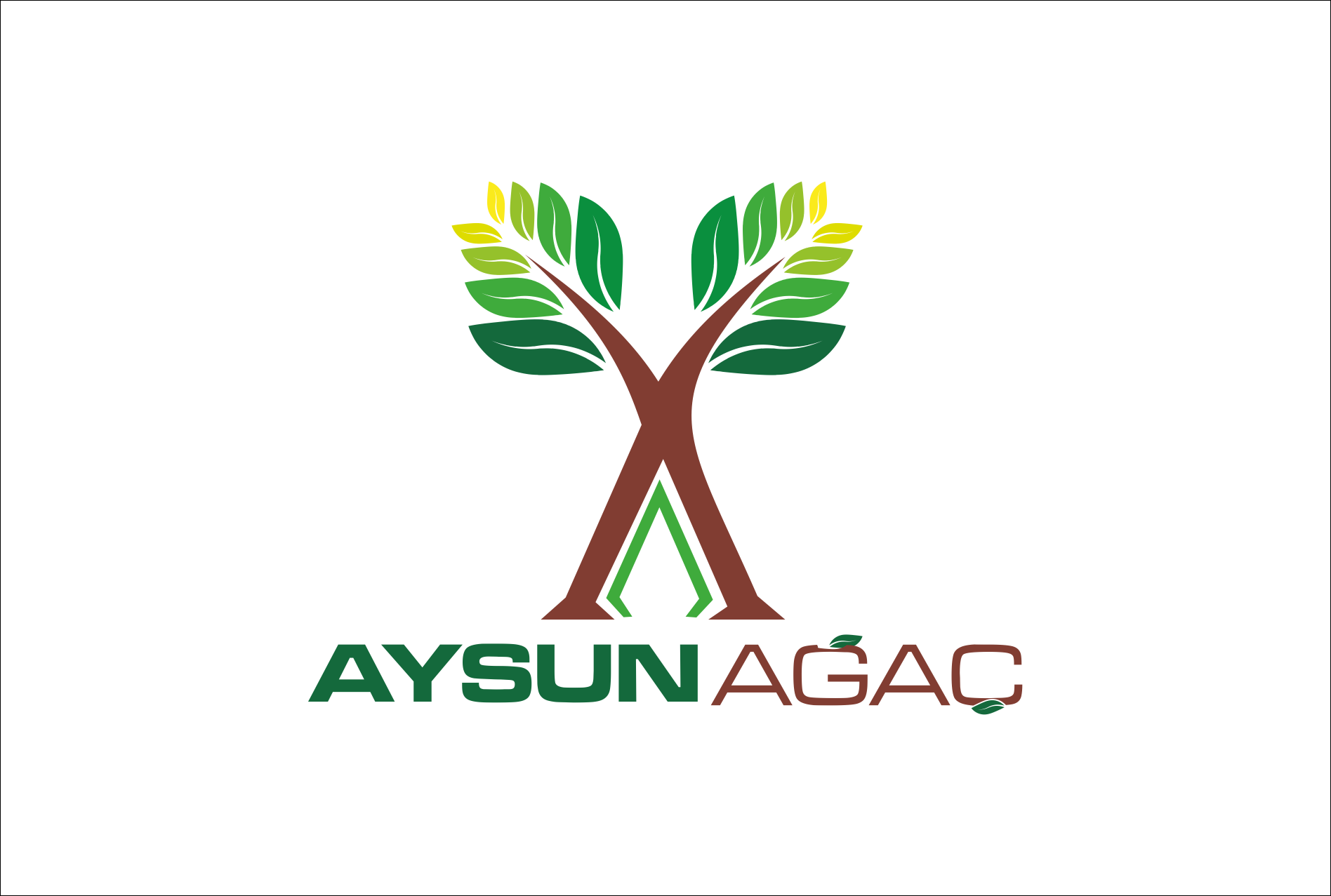 Tasarım #351