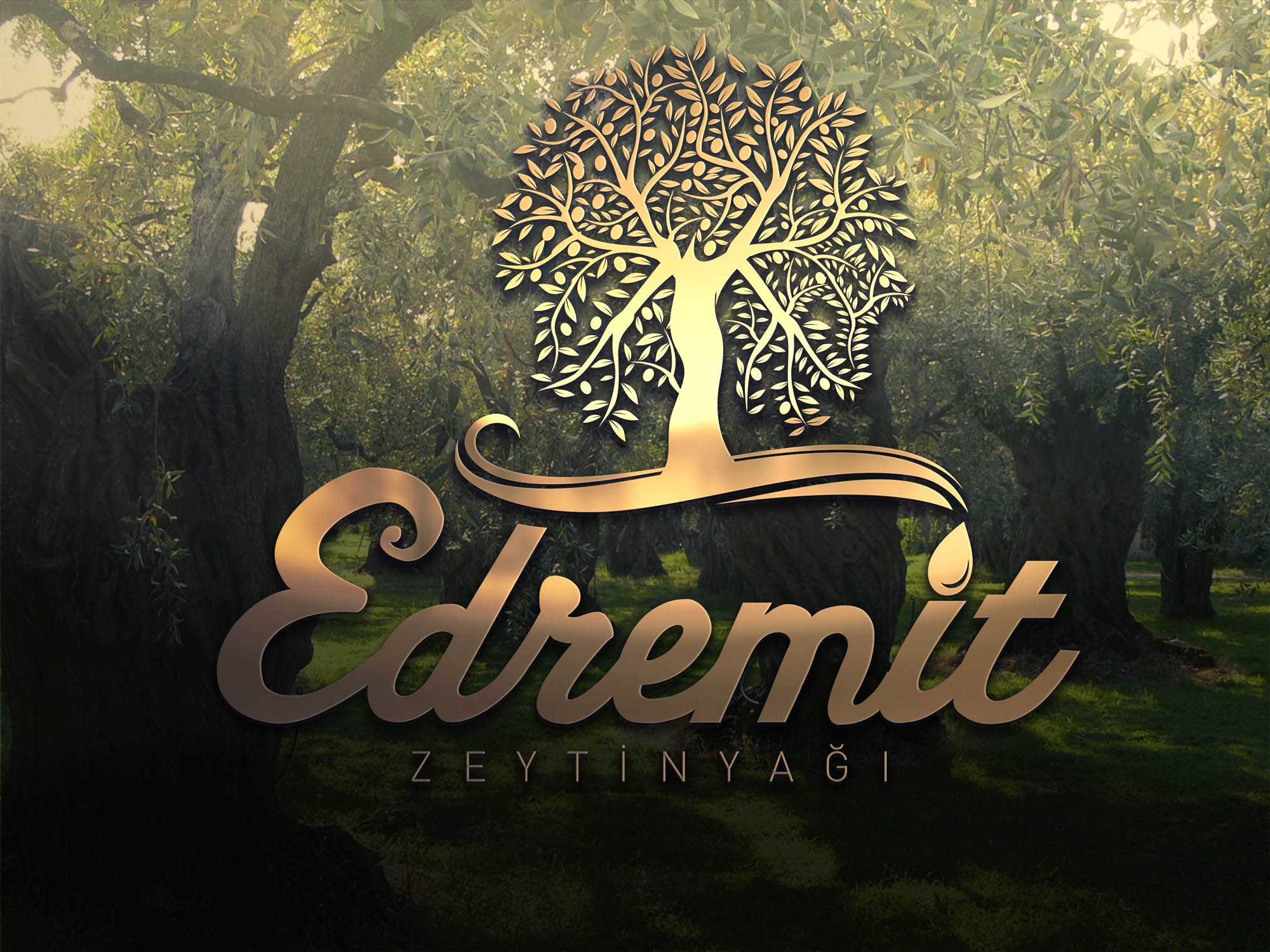 EDREMİT ZEYTİNYAĞI