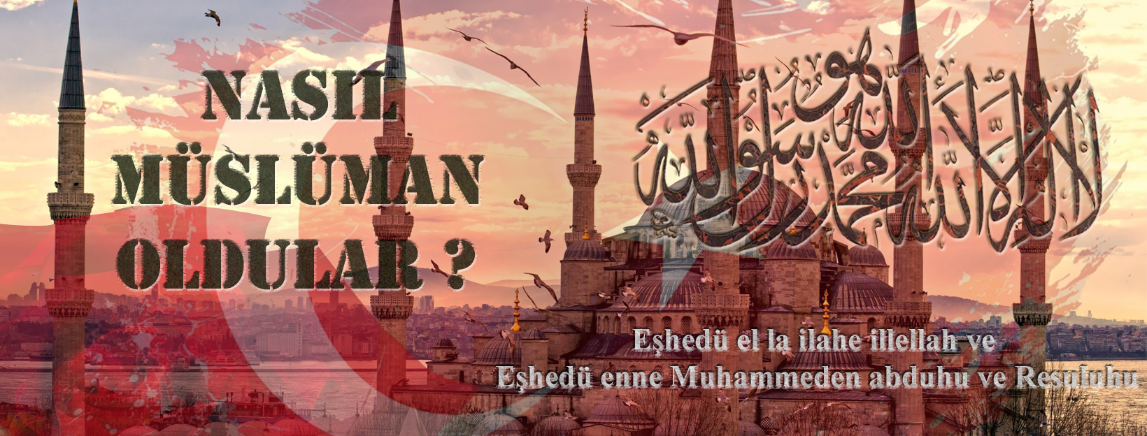 Tasarım #228