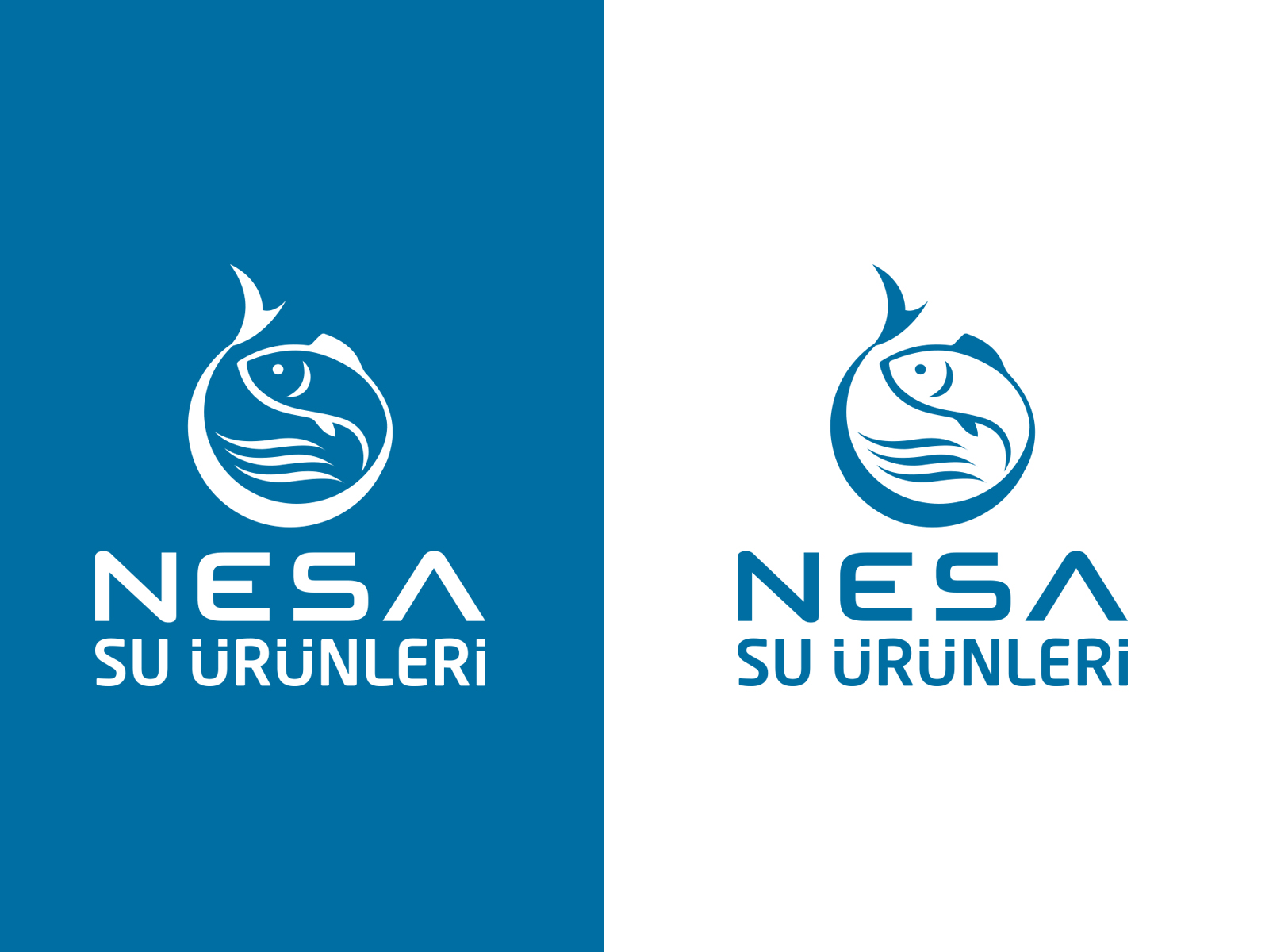 Tasarım #50