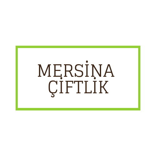 Tasarım #174