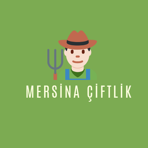 Tasarım #178