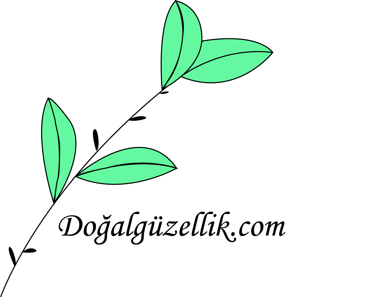 Tasarım #229