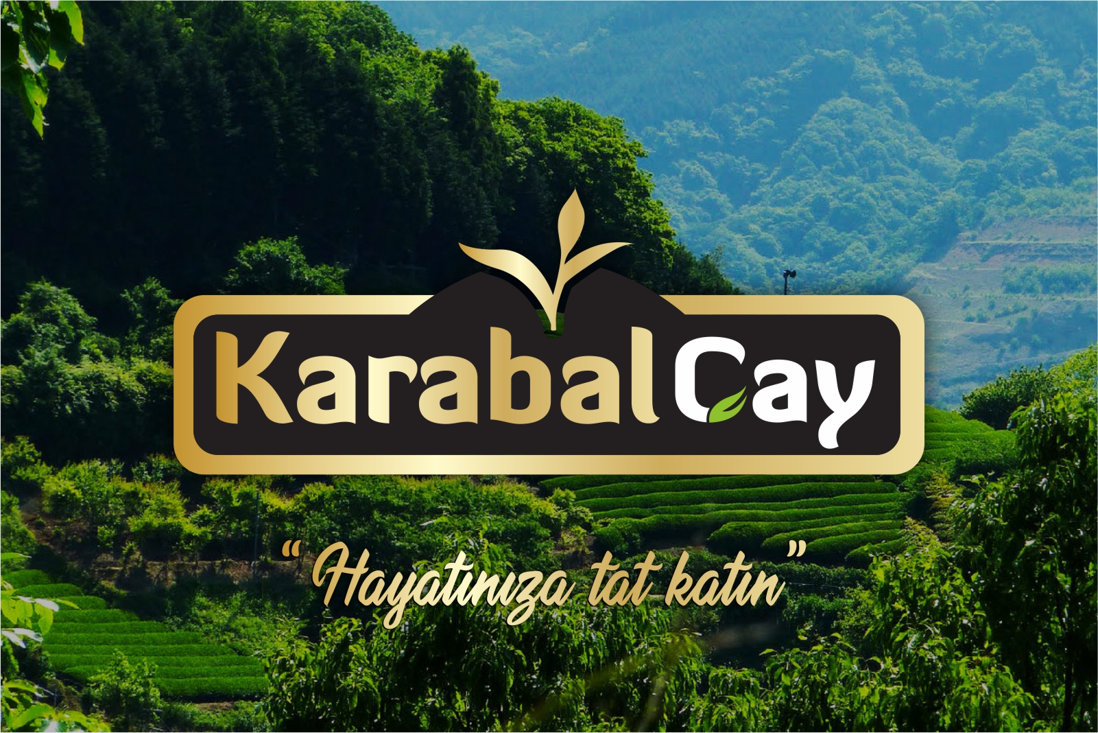 Tasarım #346