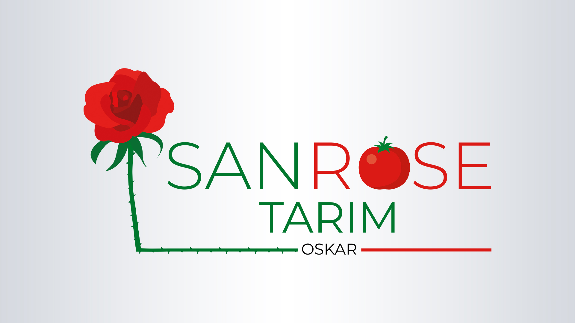 Tasarım #48