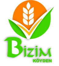Tasarım #264