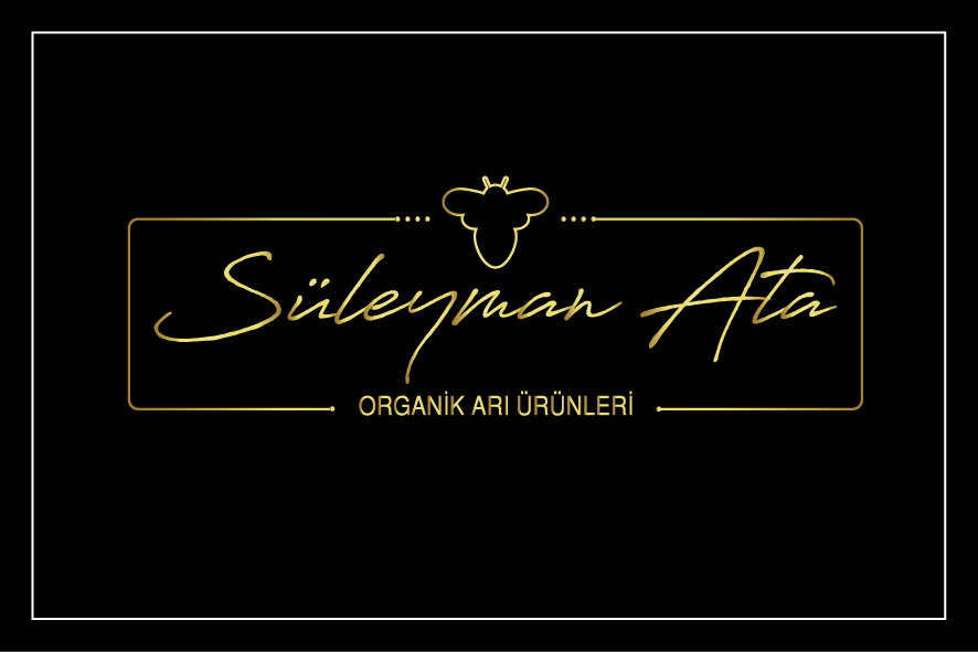 Tasarım #31