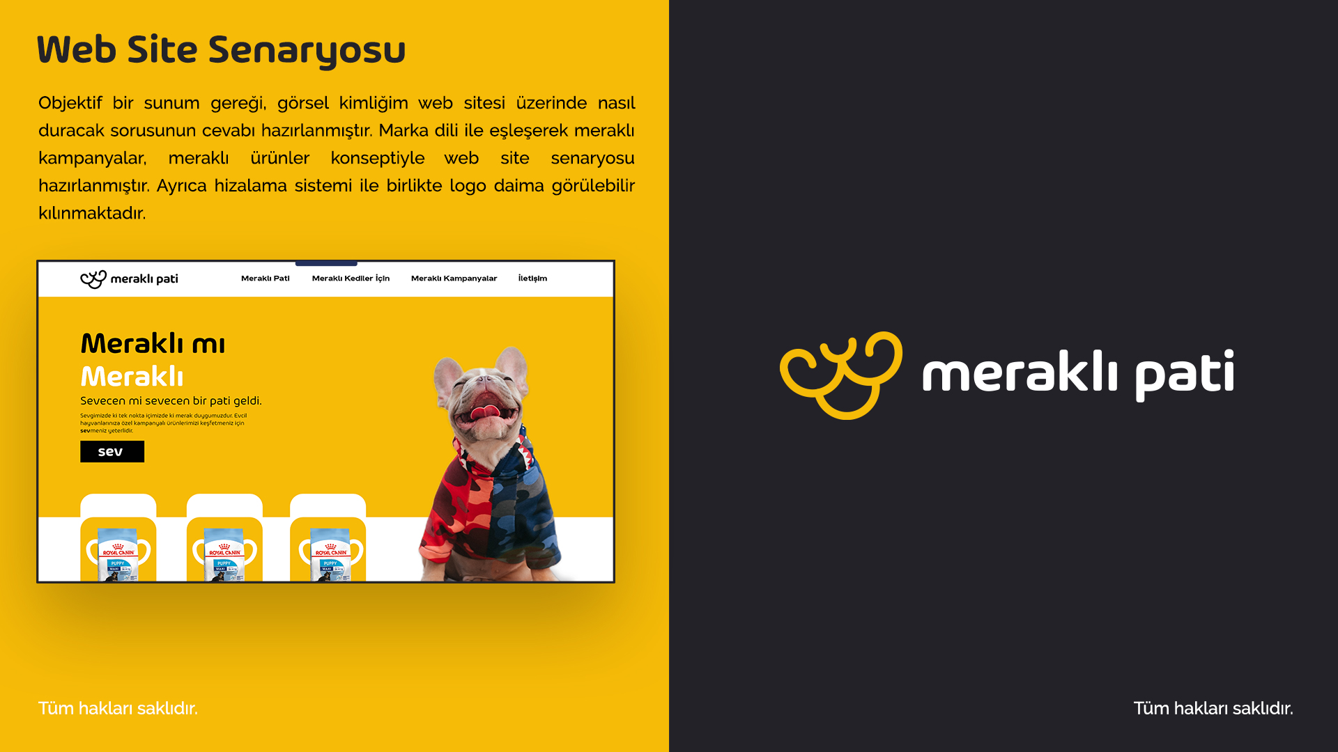 Meraklı Pati