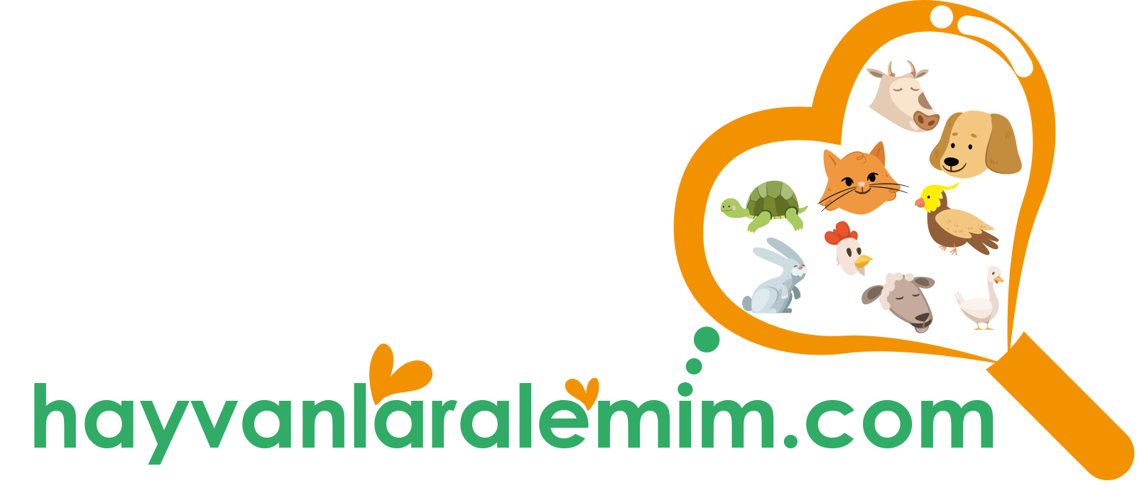 Tasarım #71