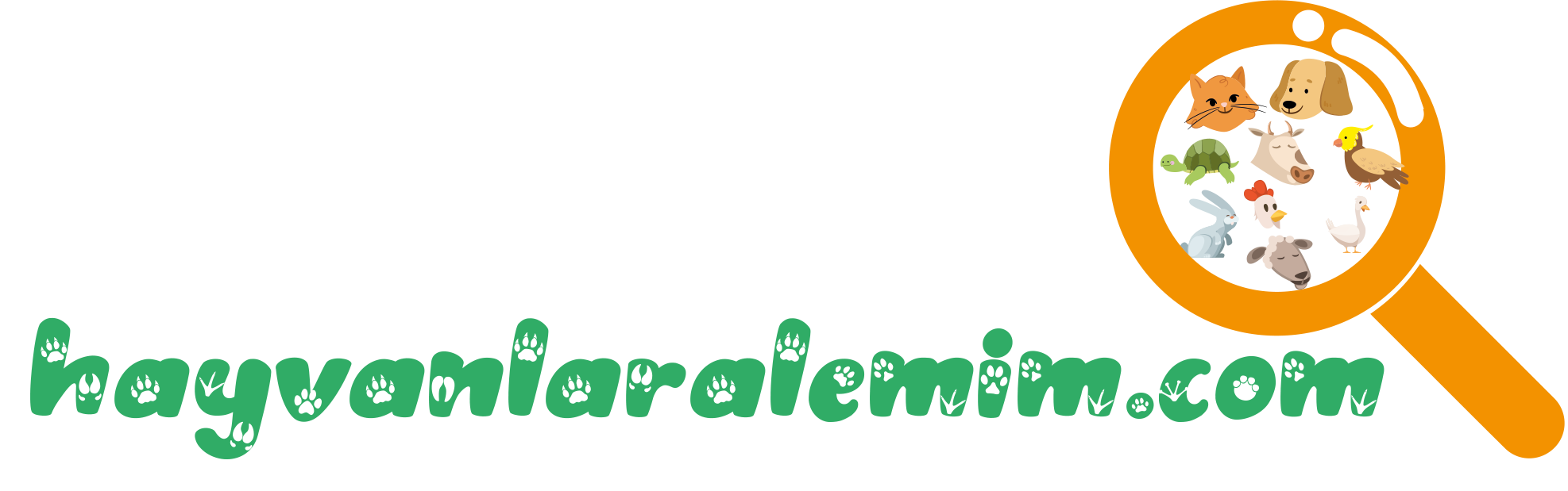 Tasarım #73