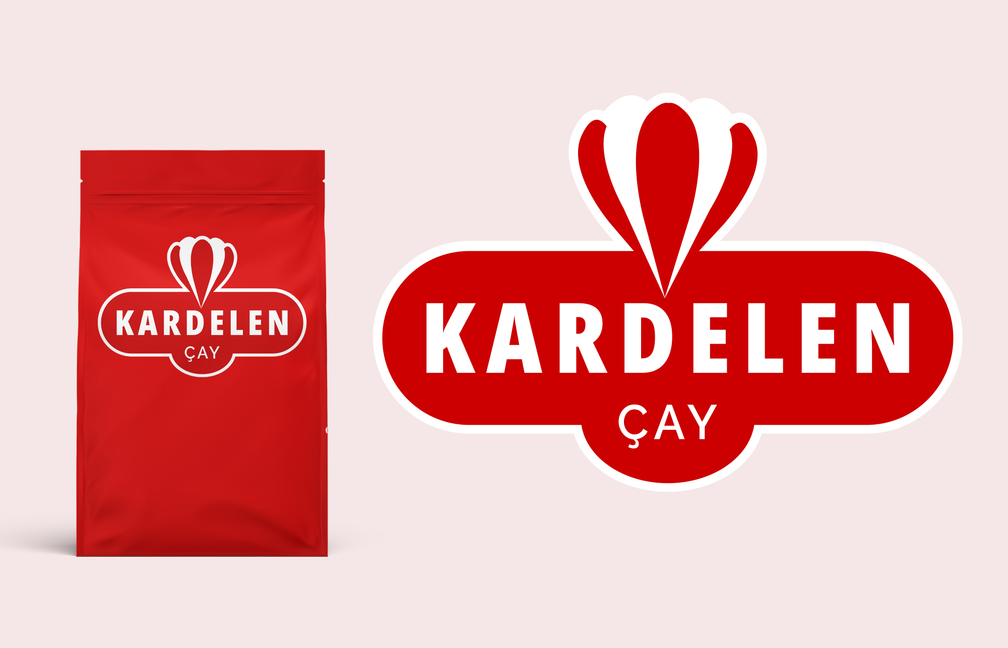 Tasarım #111