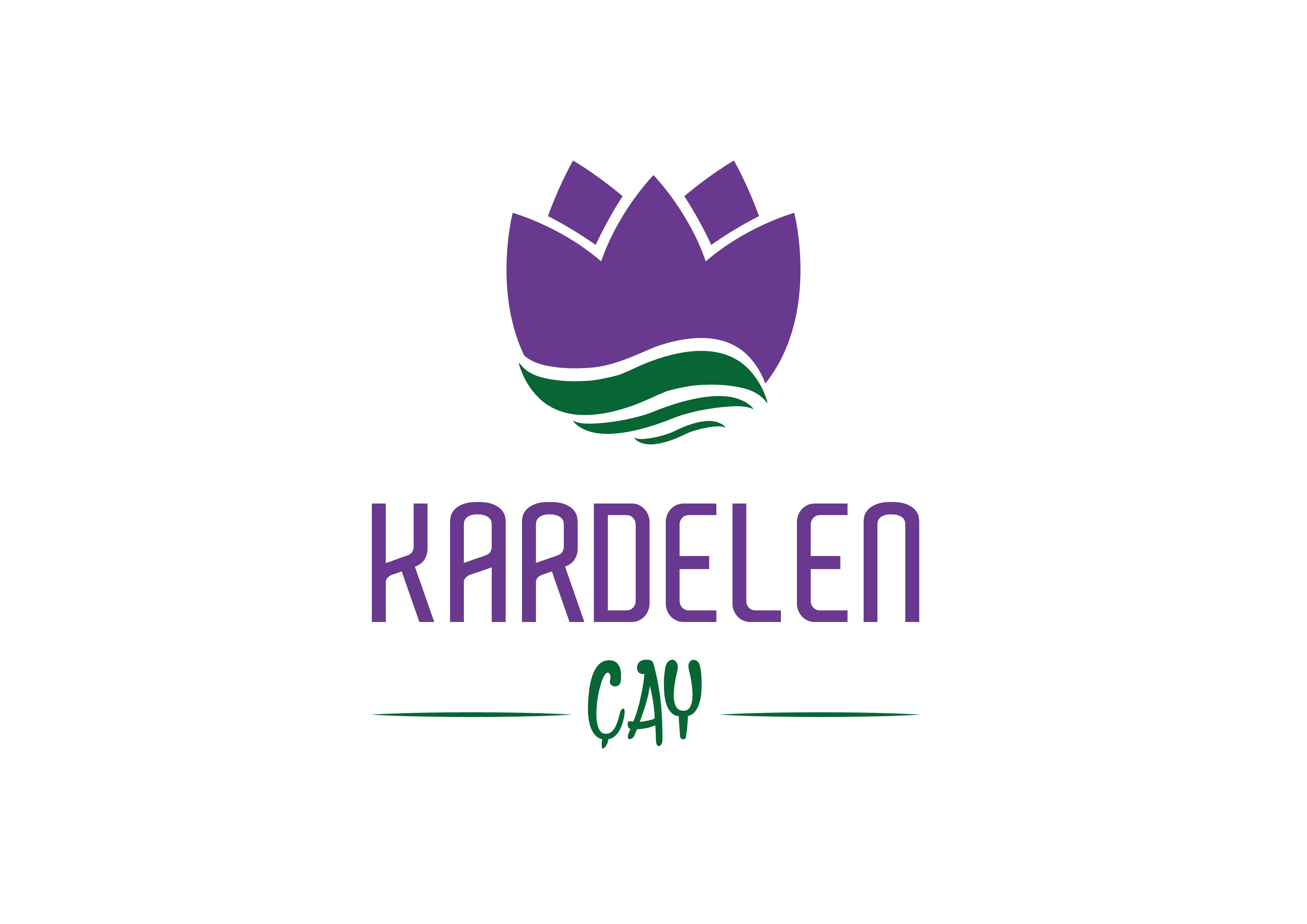 Tasarım #2