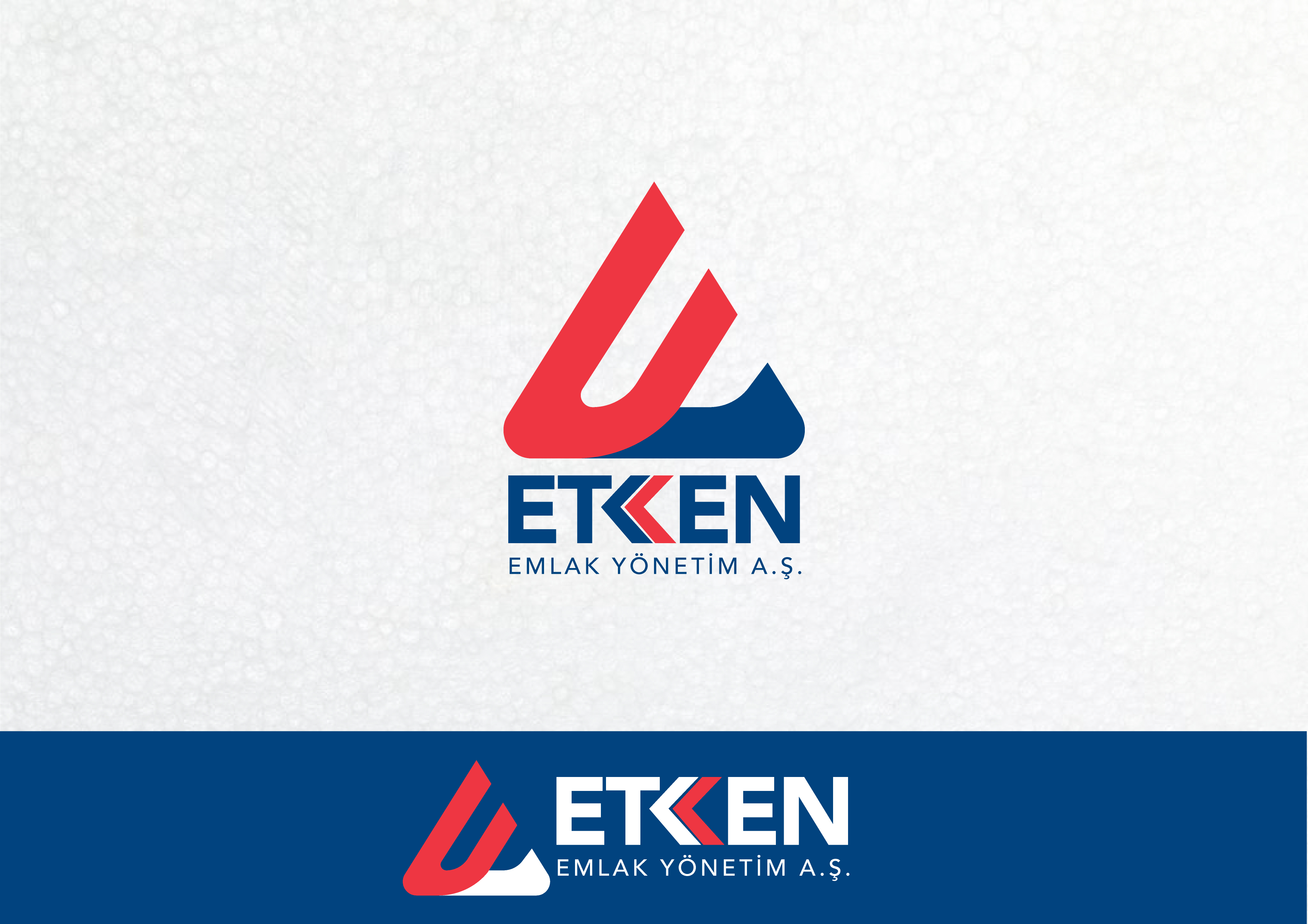 Tasarım #317