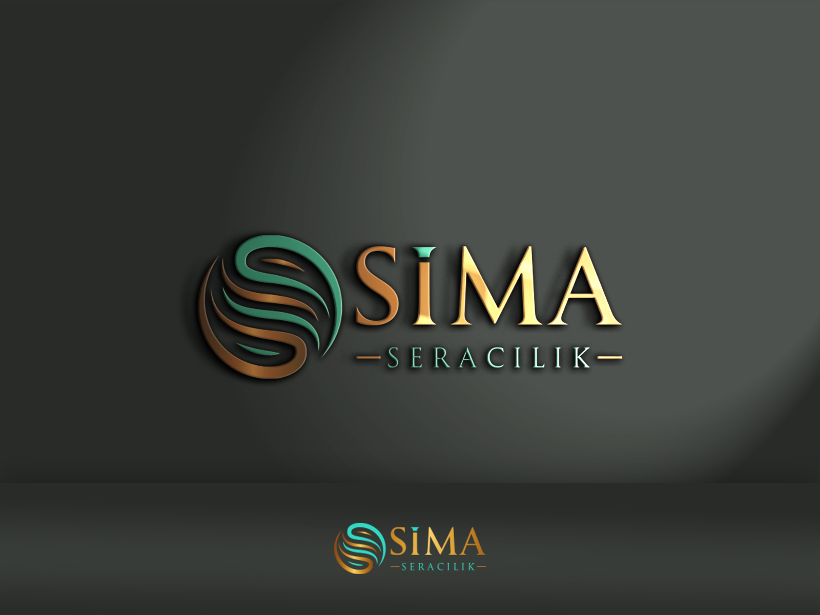 Sera firmamız için logo tasarımı