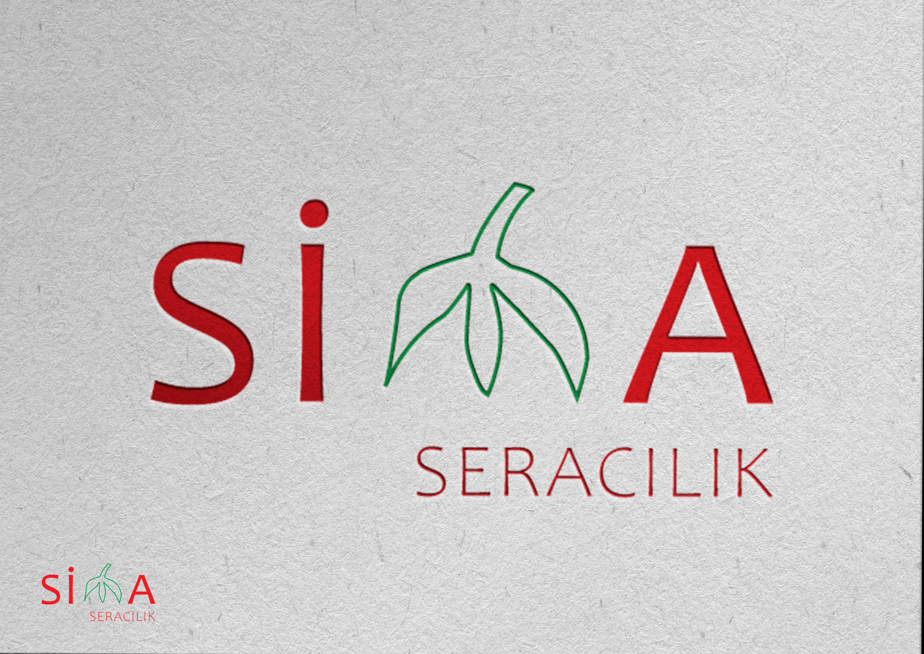 Tasarım #26