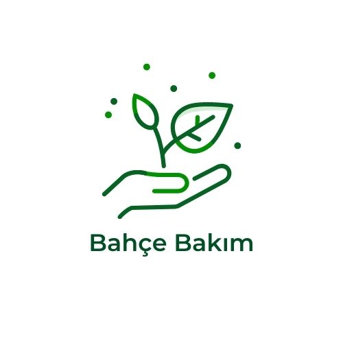 Tasarım #29