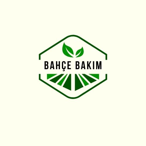 Tasarım #31
