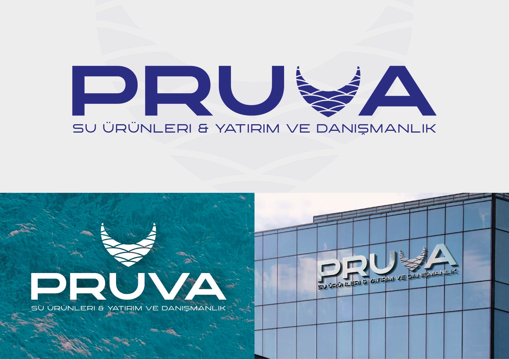Sirketimiz icin logo tasarımı ariyoruz