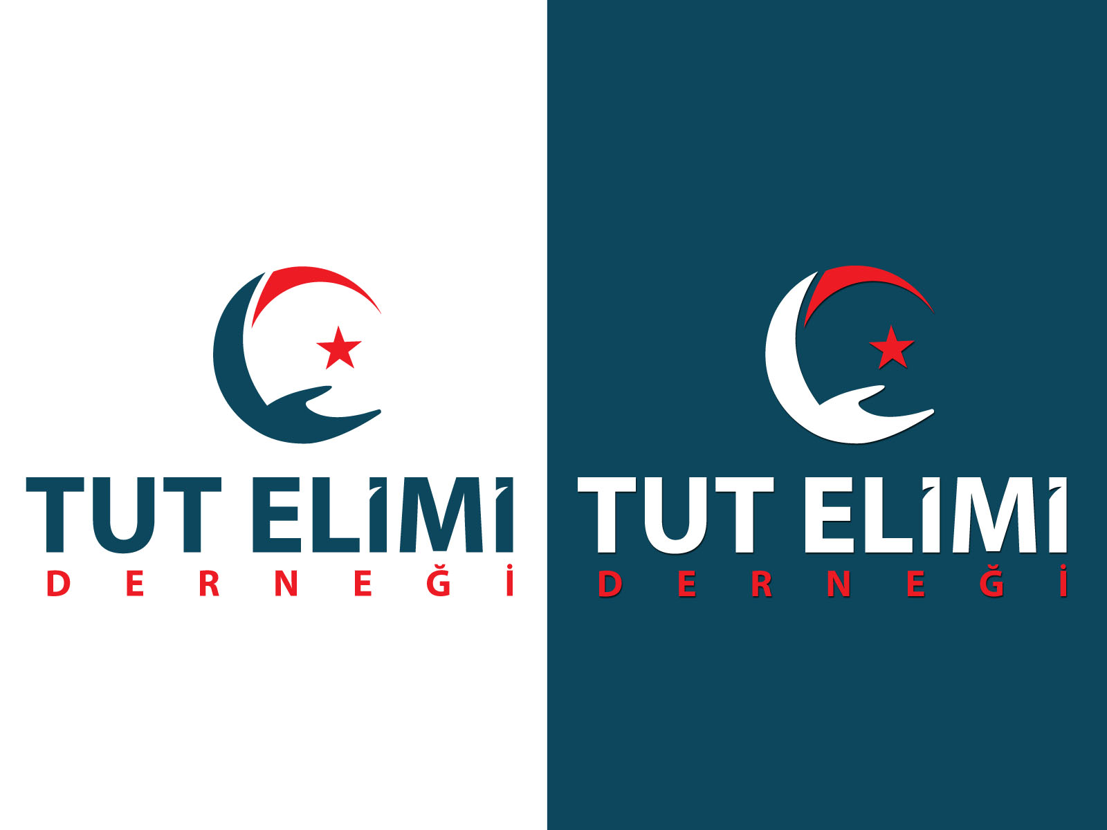 Tasarım #1