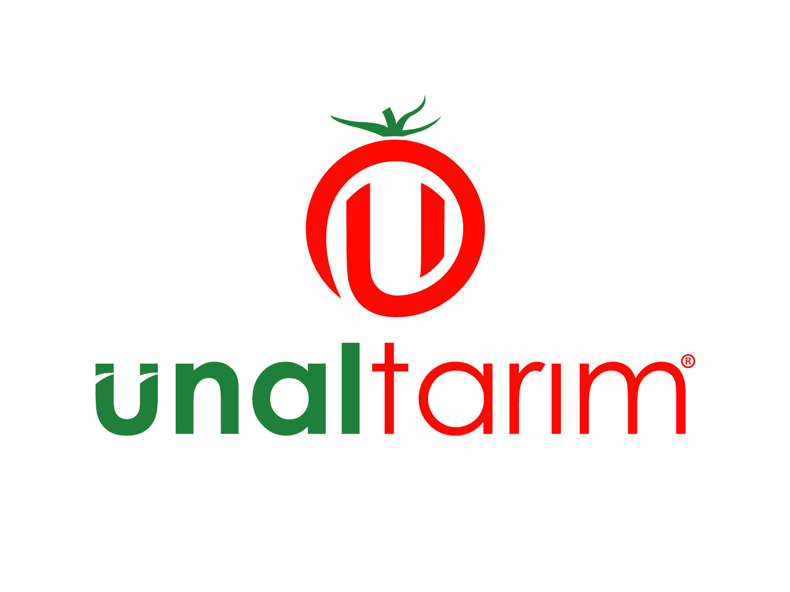 Tasarım #11