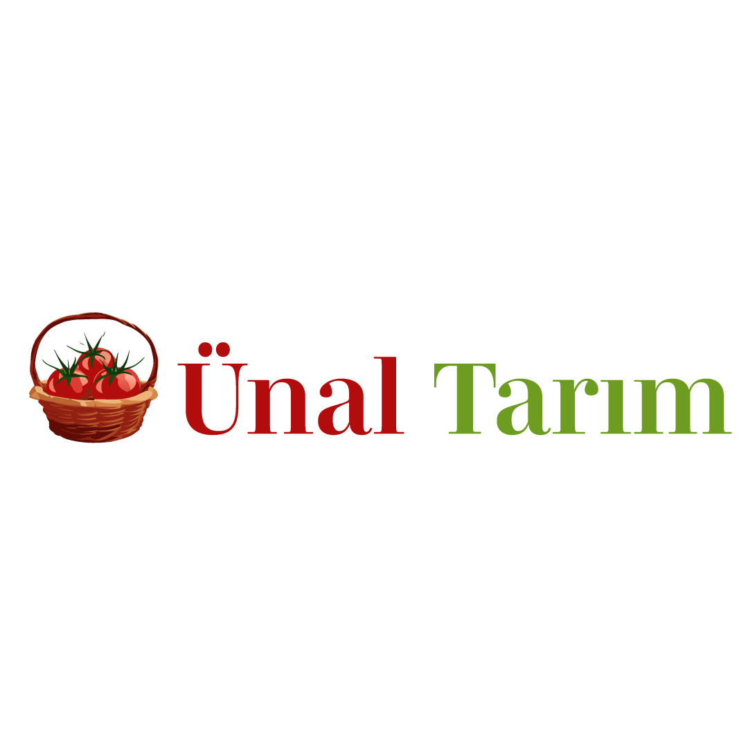 Tasarım #53