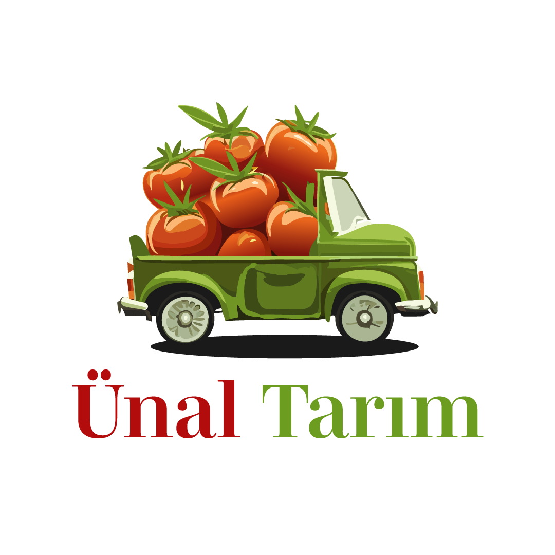 Tasarım #54