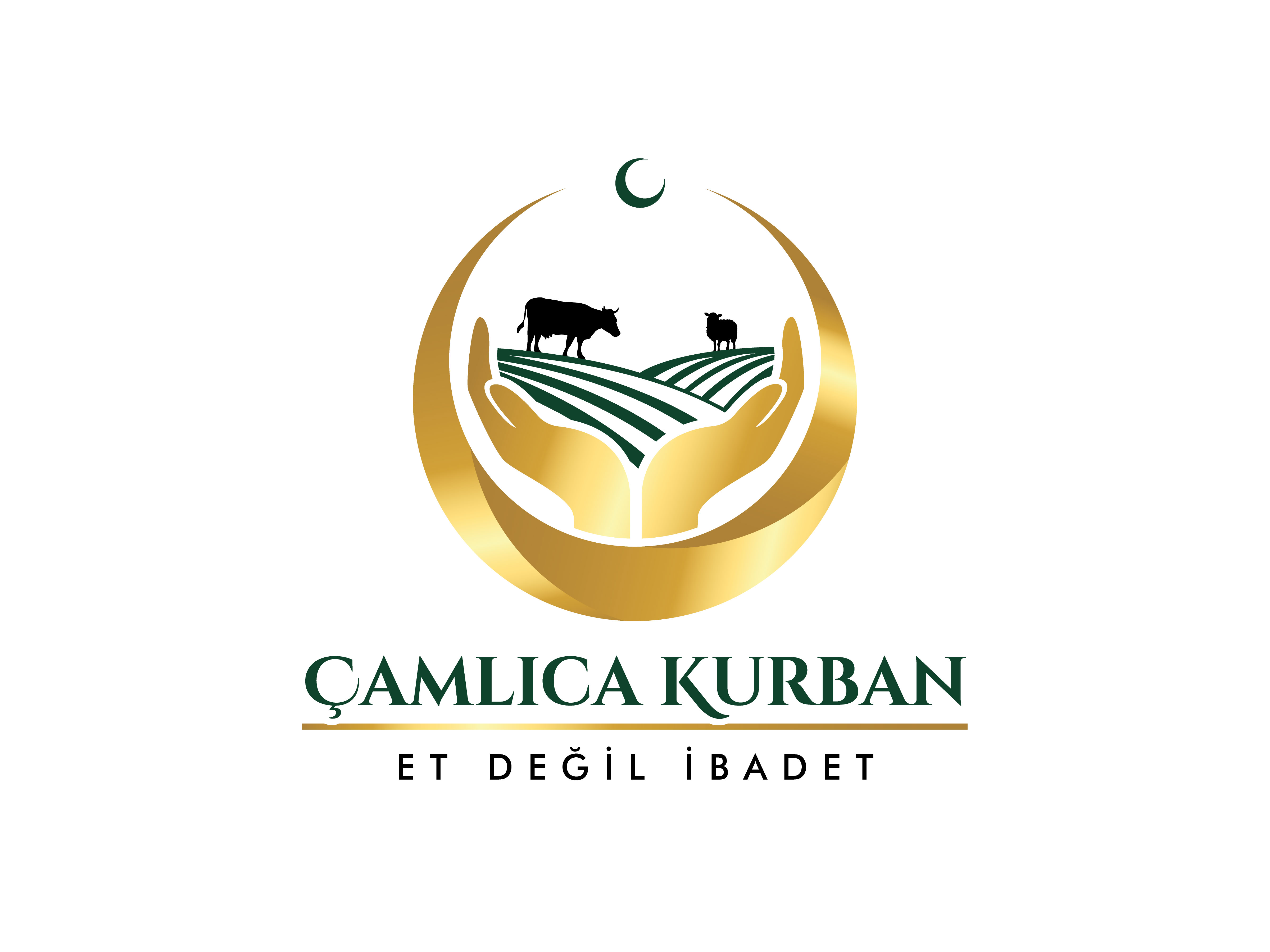 Tasarım #10
