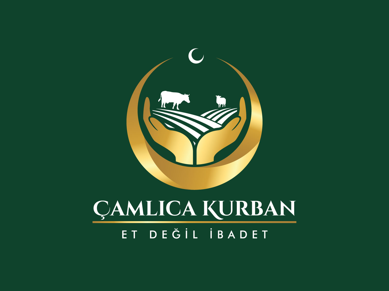 Tasarım #9