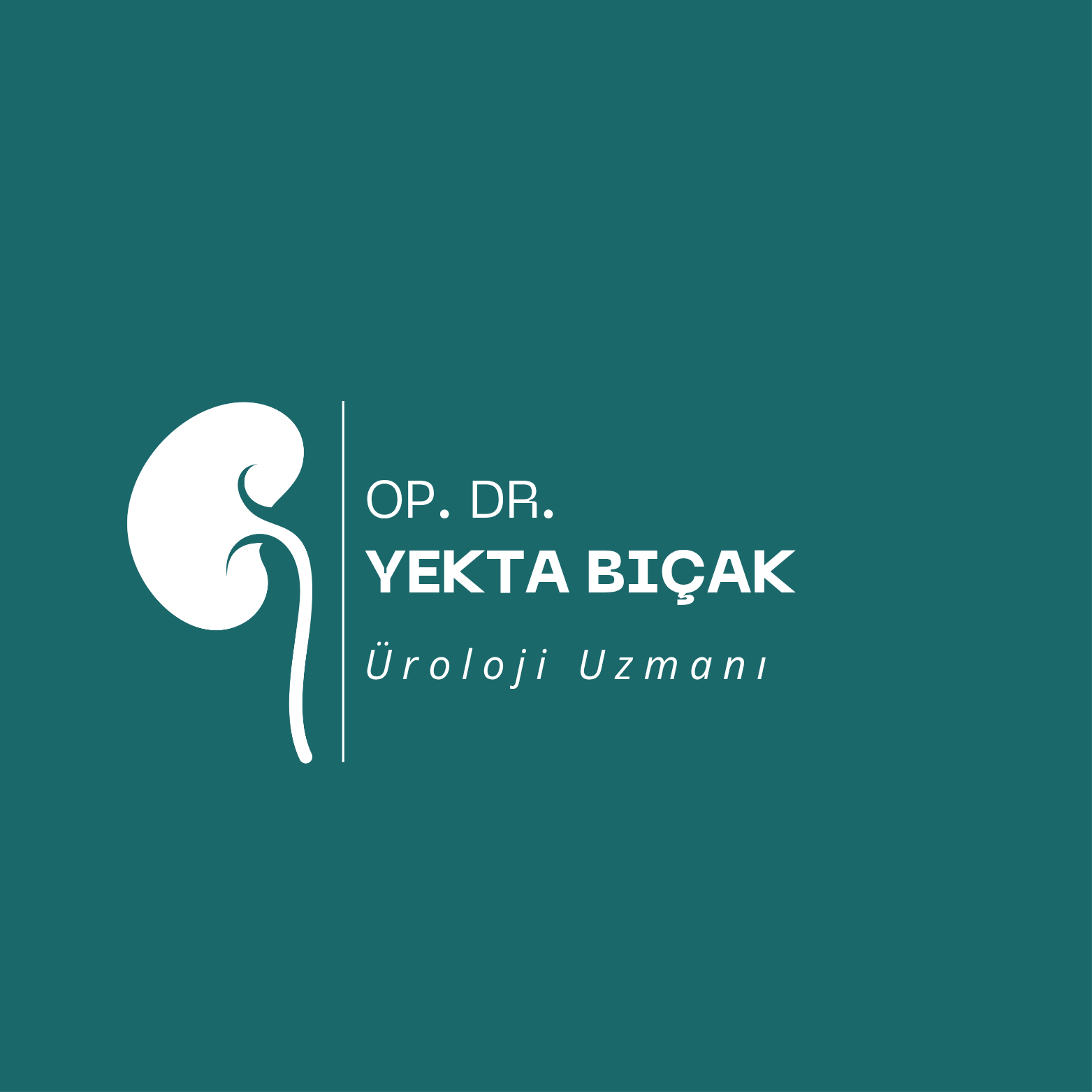 Tasarım #2